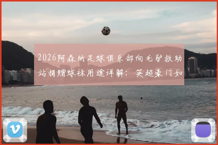 2026阿森纳足球俱乐部向毛驴救助站捐赠球袜用途详解：英超豪门如何用球袜保护毛驴腿部，附动物保护合作新方式
