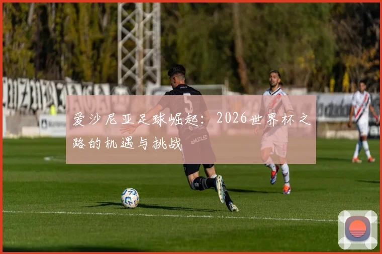 爱沙尼亚足球崛起:2026世界杯之路的机遇与挑战