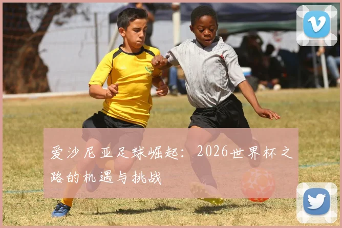 爱沙尼亚足球崛起：2026世界杯之路的机遇与挑战