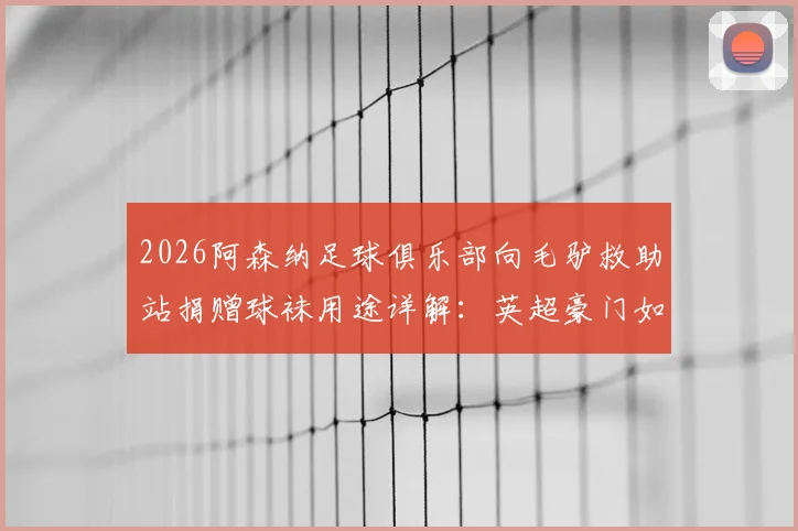 2026阿森纳足球俱乐部向毛驴救助站捐赠球袜用途详解：英超豪门如何用球袜保护毛驴腿部，附动物保护合作新方式