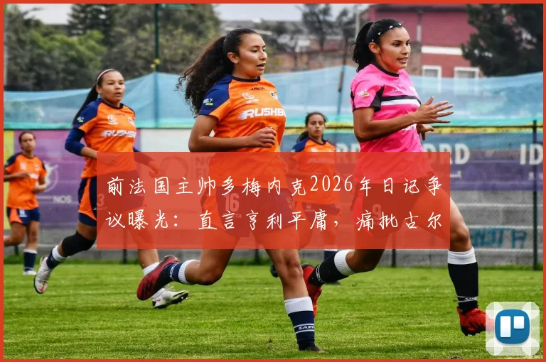 前法国主帅多梅内克2026年日记争议曝光：直言亨利平庸，痛批古尔库夫与阿内尔卡
