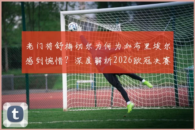 老门将舒梅切尔为何为加布里埃尔感到惋惜?深度解析2026欧冠决赛背后的英雄与遗憾